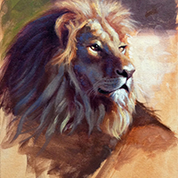 Oil Sketch Of A Lion