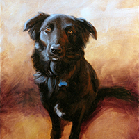 Pet Portrait of Shadow